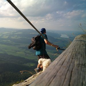 Sicherheit in den Bergen mit Hund Tipps, Erfahrungen und Tricks im BERG-VAN:MAG